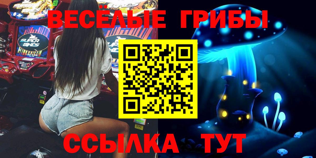 Димитровград  Галлюциногенные грибы мицелий  Псилоцибиновые грибы Magic Shrooms  Вход с VPN 