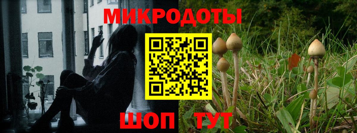 Галлюциногенные грибы MAGIC MUSHROOMS Димитровград